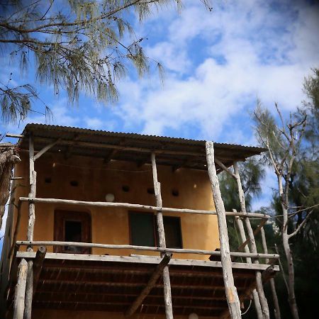 Tree House Cottage, Ocean View Tofo Экстерьер фото