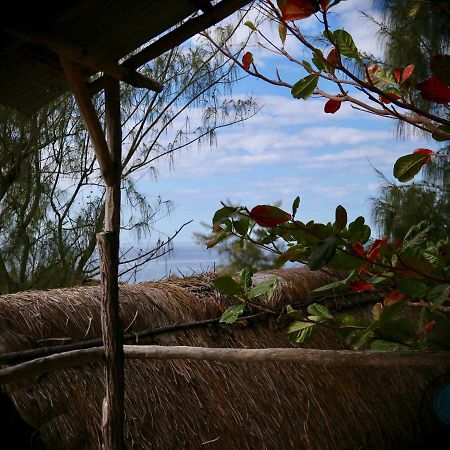 Tree House Cottage, Ocean View Tofo Экстерьер фото